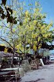 Thailand 2001-EX145